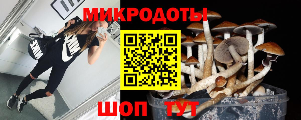 Псилоцибиновые грибы Psilocybe  купить наркоту  Спасск-Дальний  Вход с VPN 